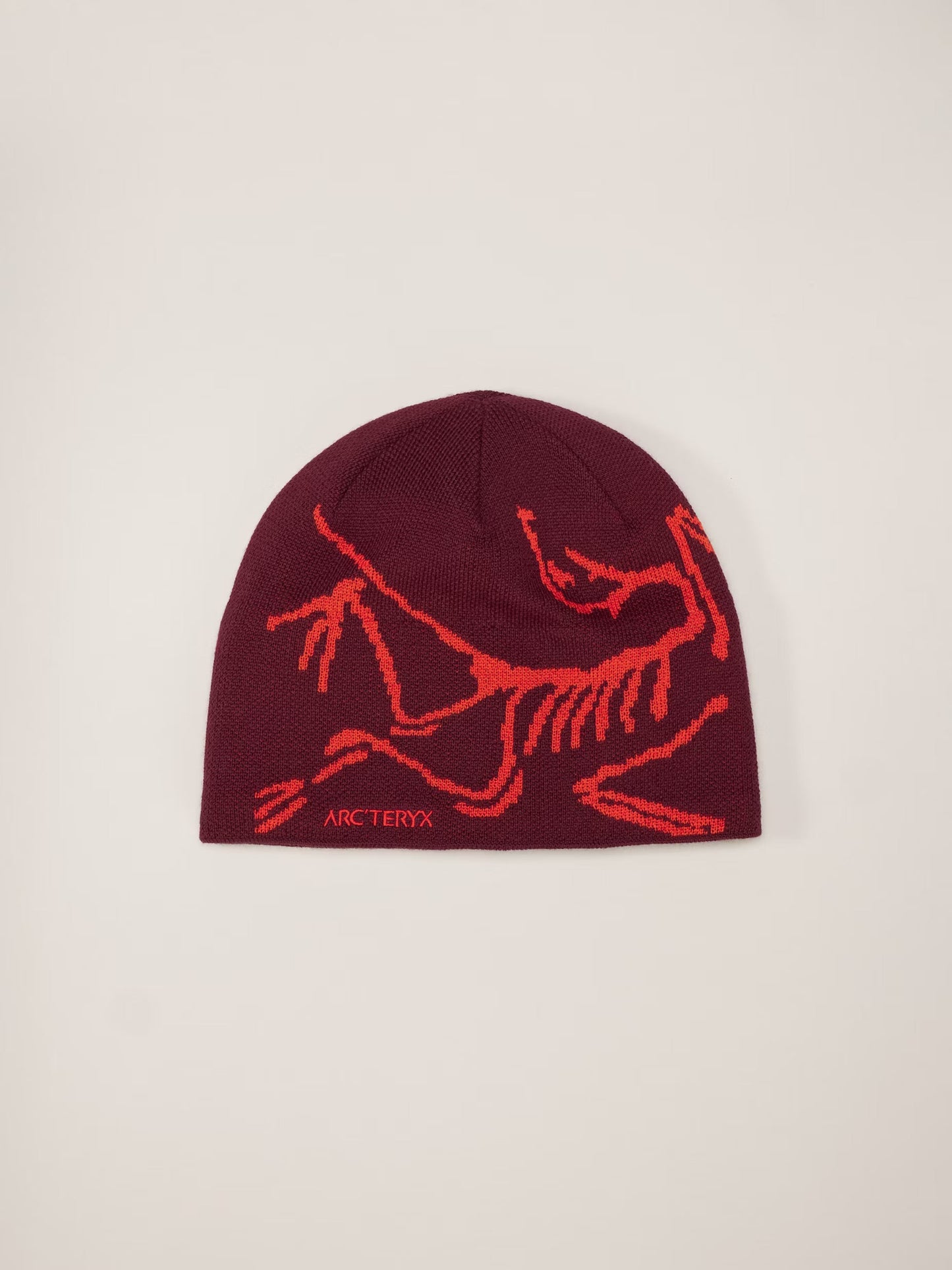 The ARC Beanie