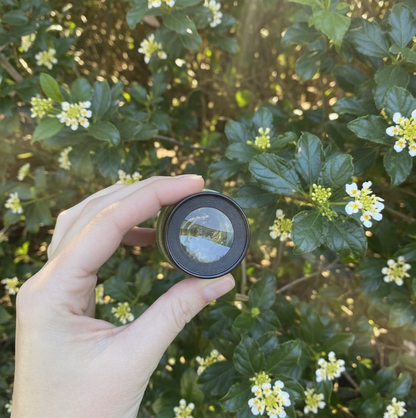 The Adventure Lens