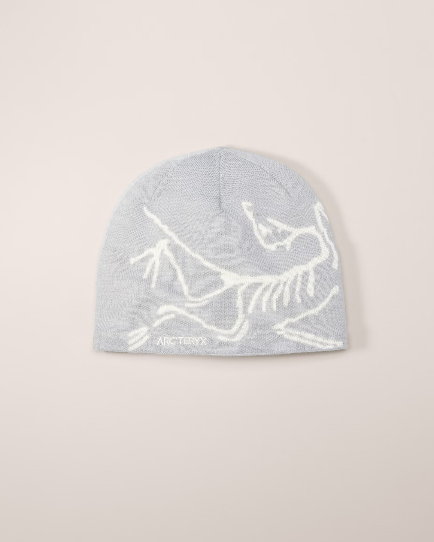 The ARC Beanie