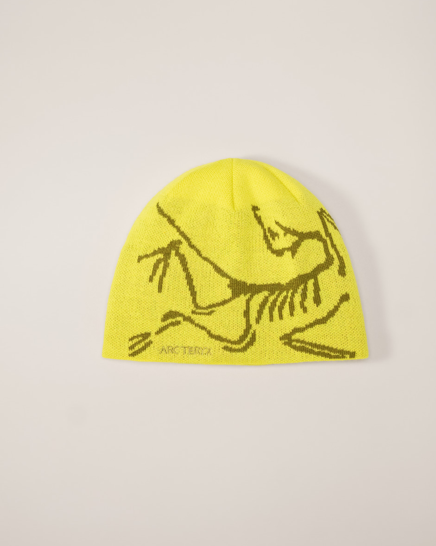 The ARC Beanie