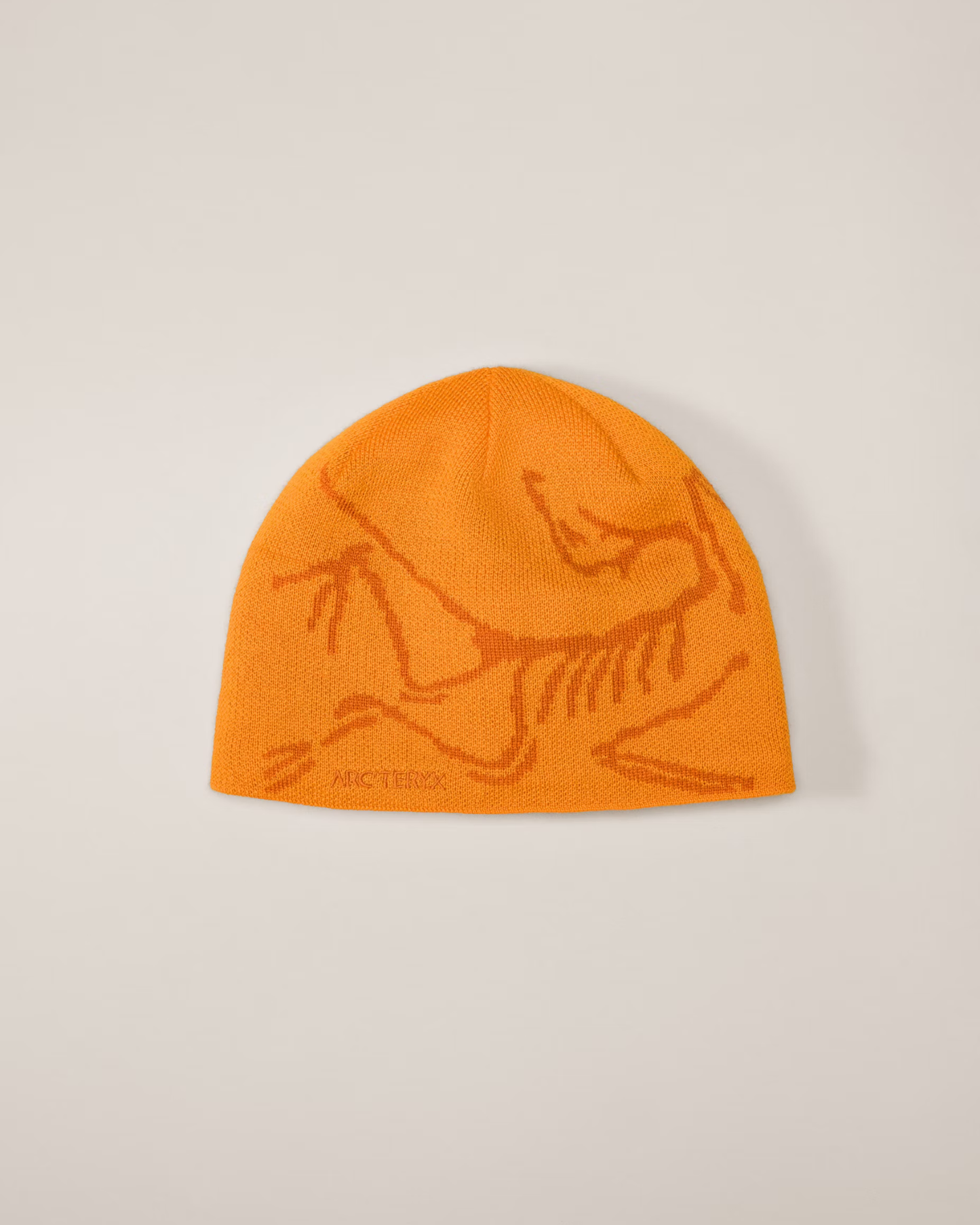 The ARC Beanie