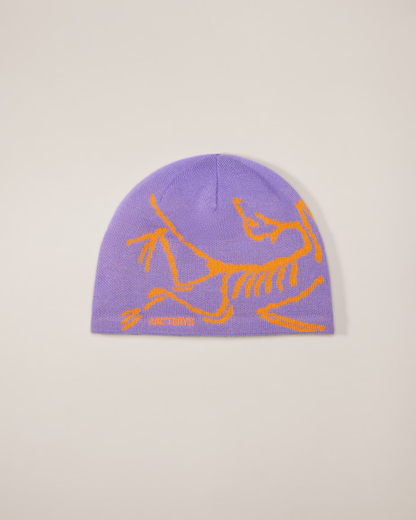 The ARC Beanie