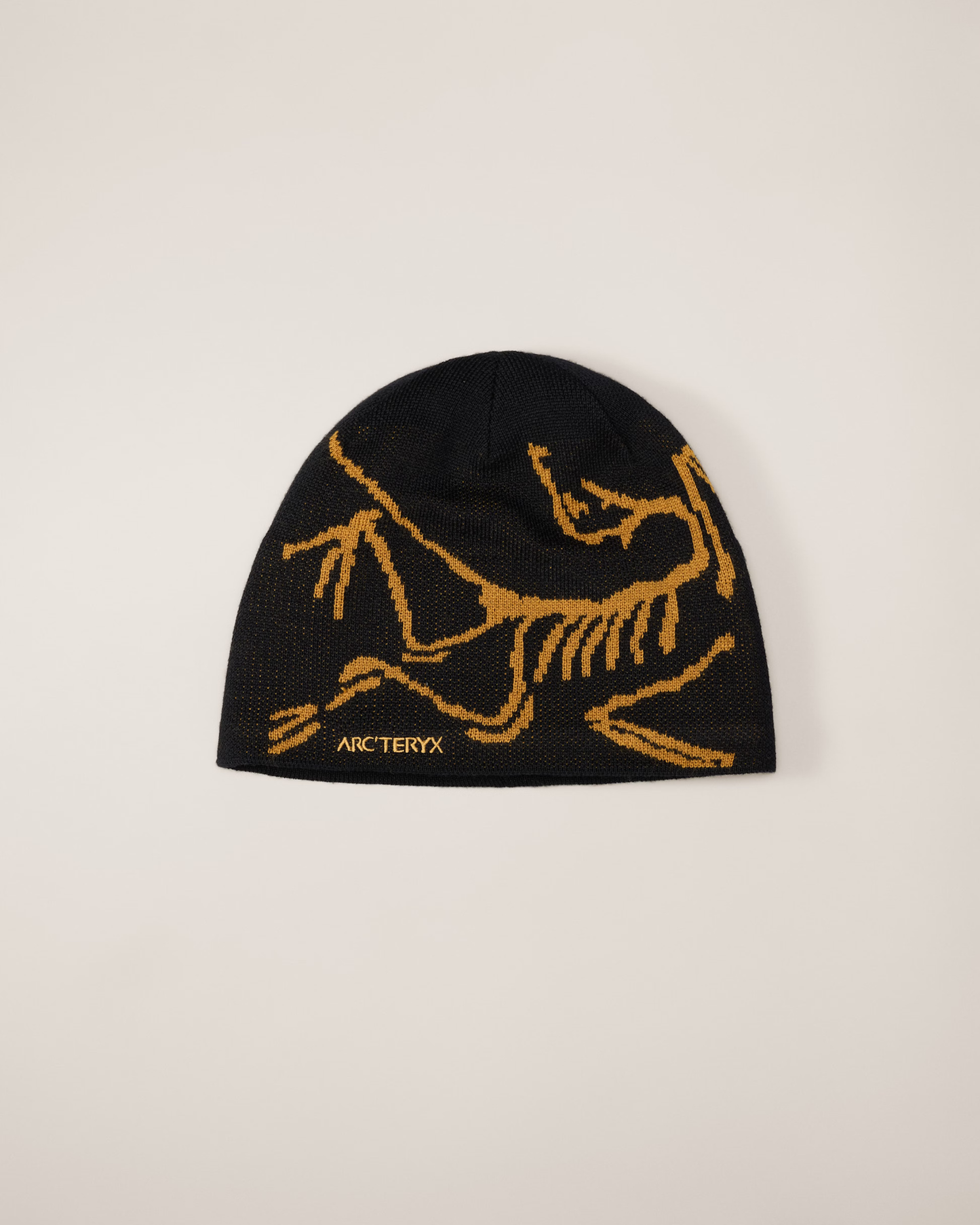 The ARC Beanie