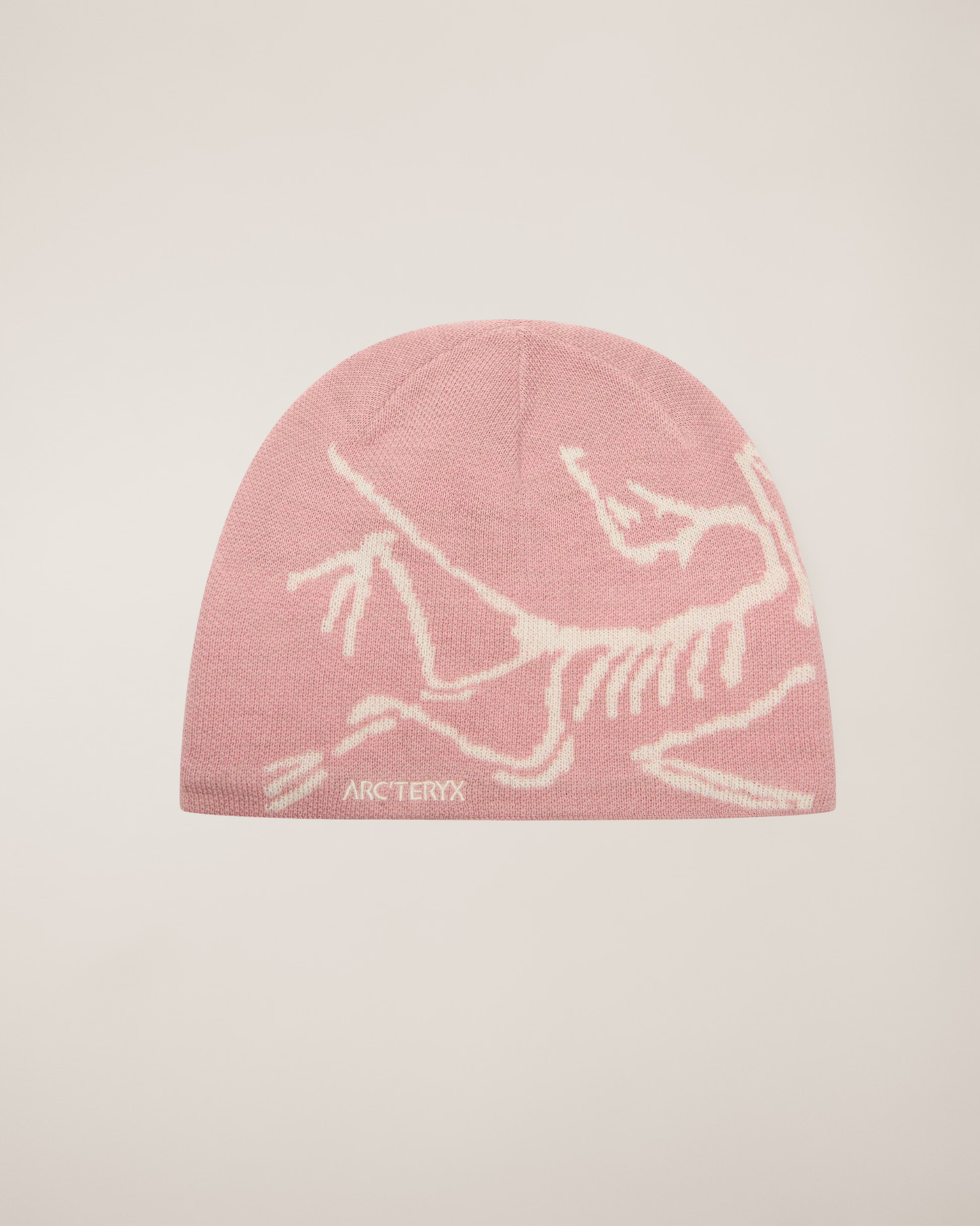 The ARC Beanie