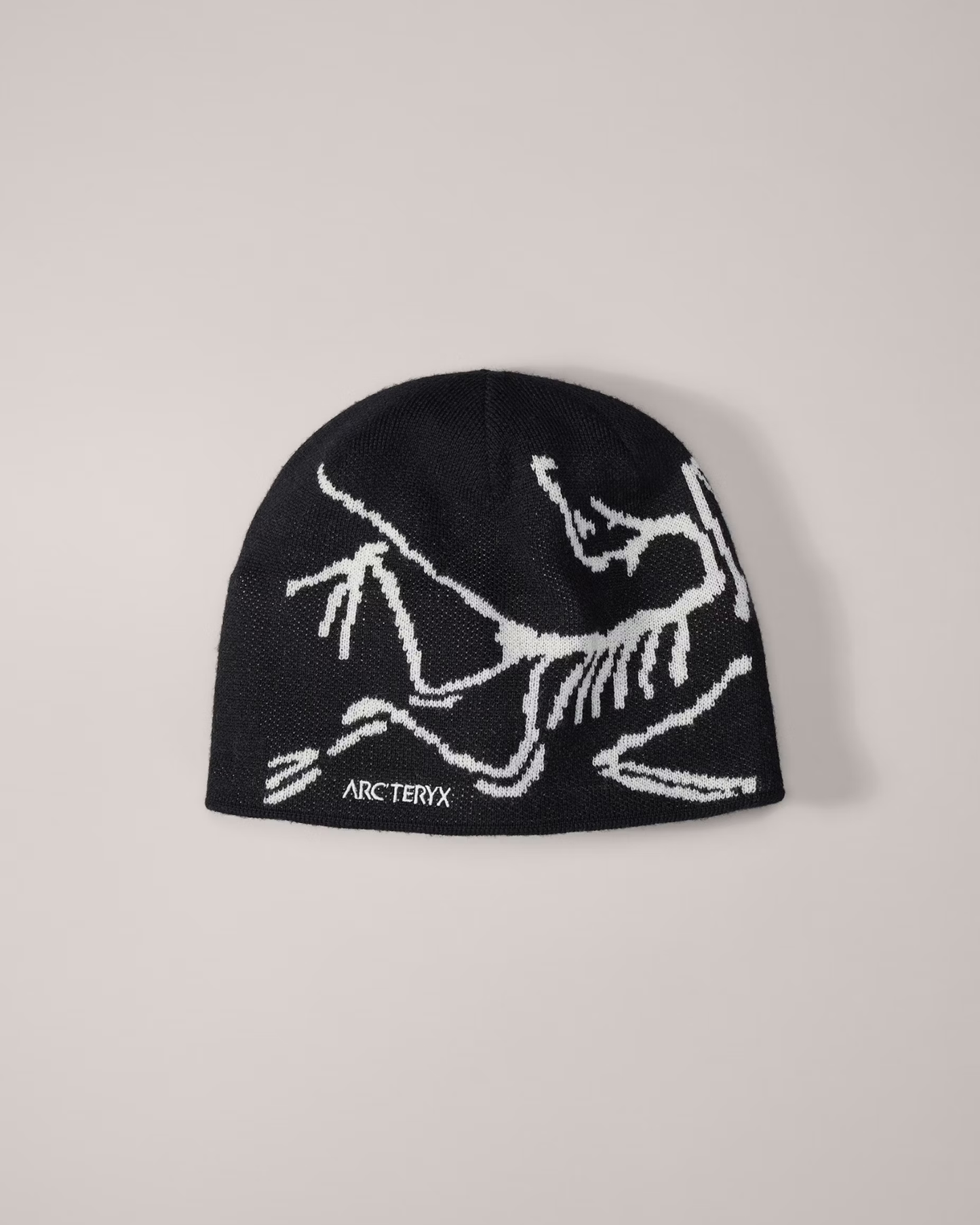 The ARC Beanie